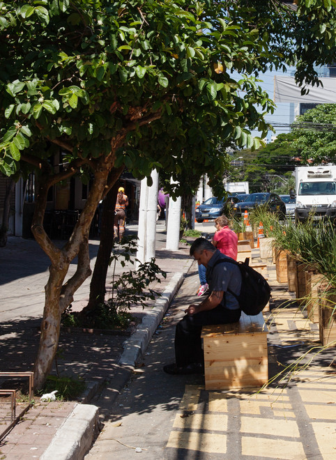 INTERVENīO PINHEIROS_018
